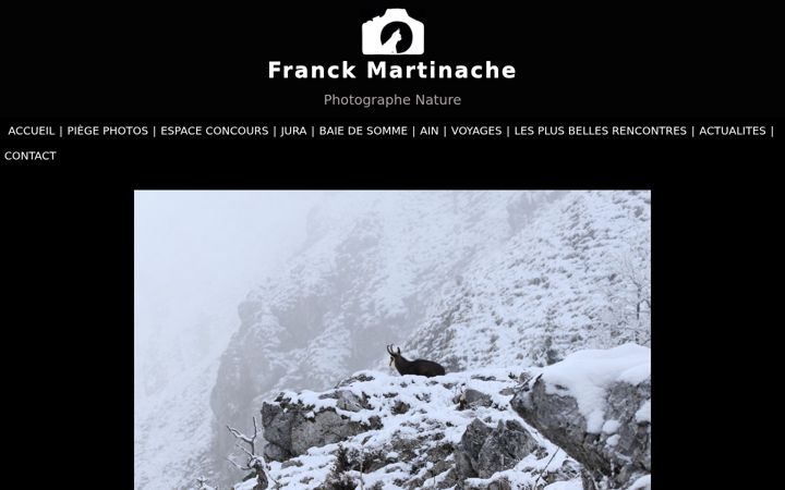 Screenshot of franckmartinache.com