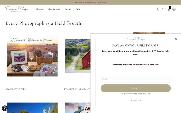 Screenshot of francoisdemelogue.com