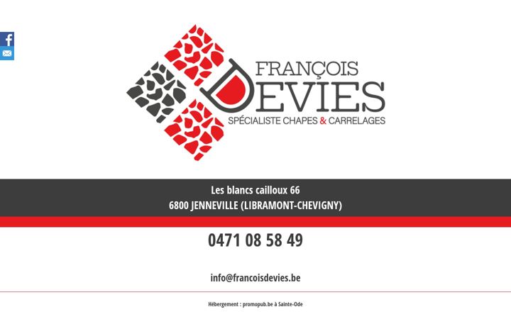 Skjámynd af francoisdevies.be
