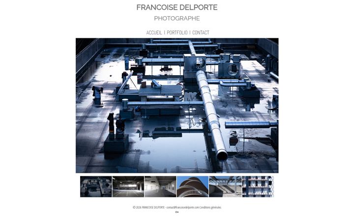 Screenshot of francoisedelporte.com