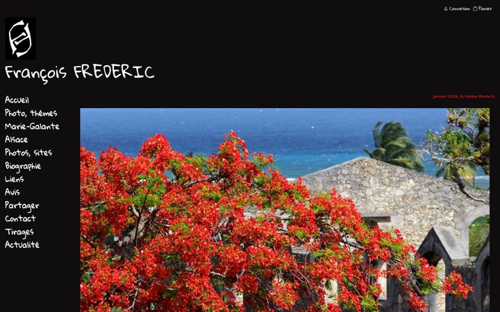 Screenshot of francoisfrederic.com