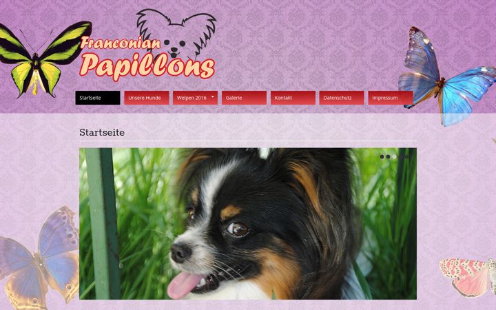 Screenshot of franconian-papillons.de