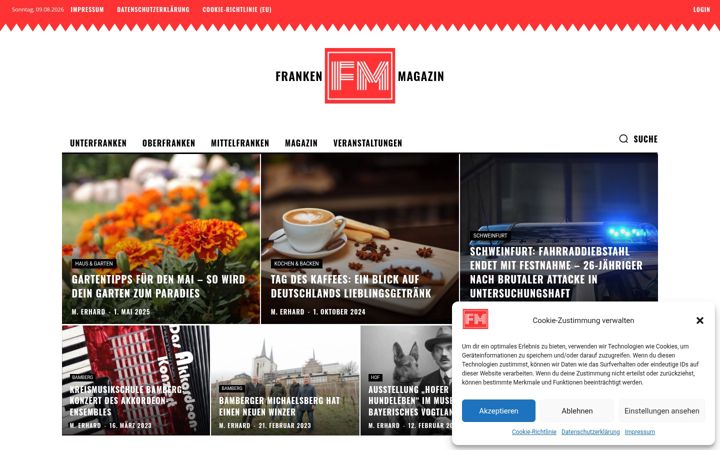 Screenshot ta' frankenmagazin.de