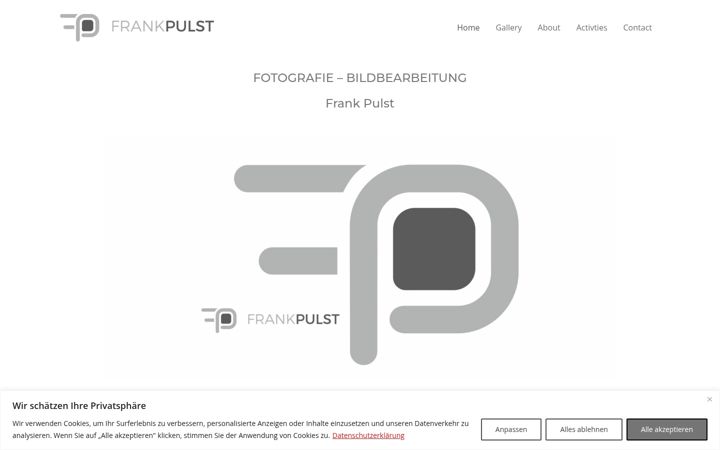 Screenshot of frankpulst.com