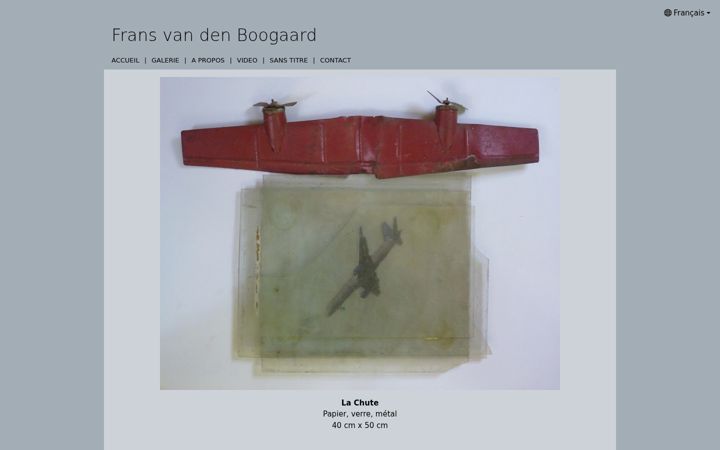 Screenshot of fransvandenboogaard.com