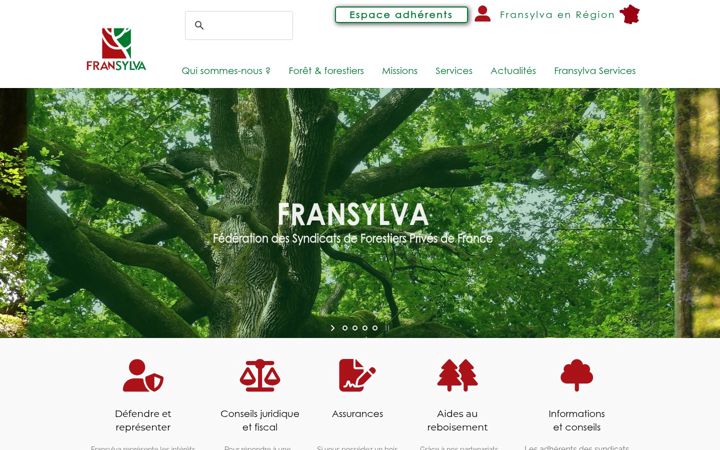 Screenshot of fransylva.fr