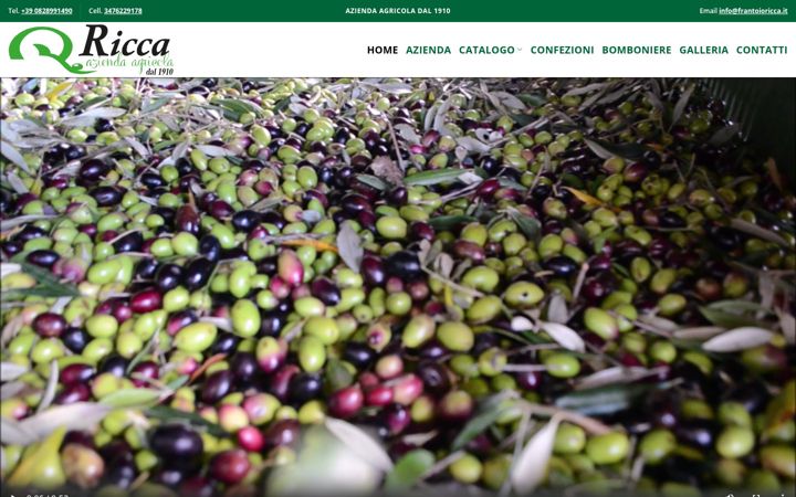 Screenshot von frantoioricca.it