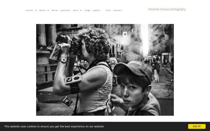 Screenshot of franziskastrauss.com