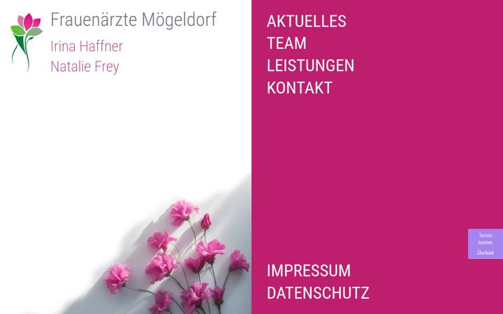 Screenshot of frauenaerzte-moegeldorf.de
