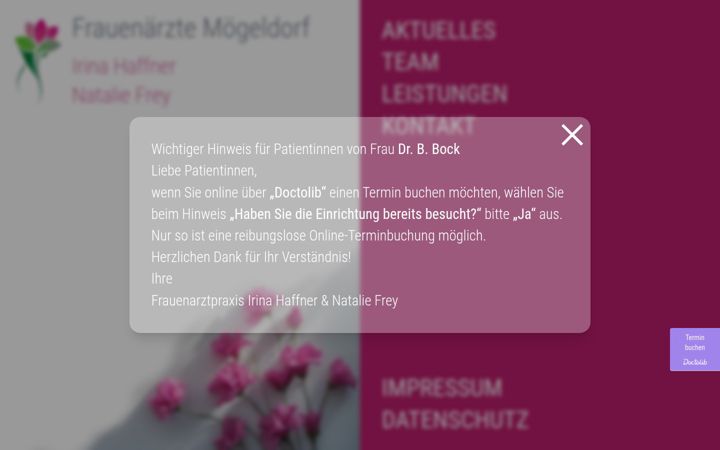 Zrzut ekranu frauenarzt-moegeldorf.de