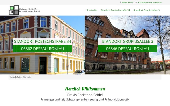 Zrzut ekranu frauenarzt-seidel.de