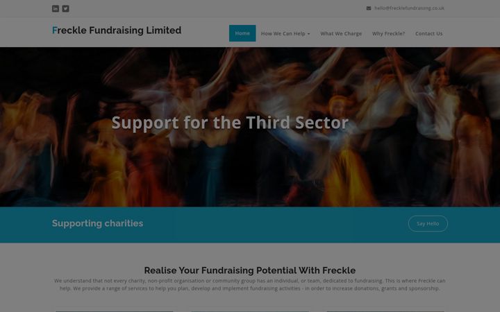 Screenshot of frecklefundraising.co.uk