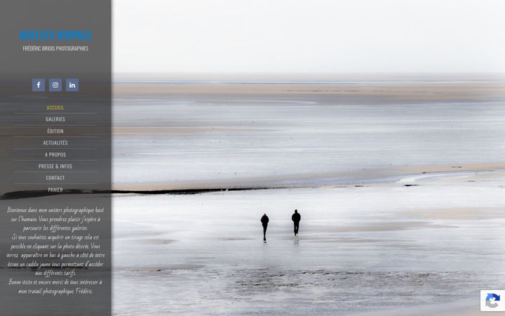 Screenshot of frederic-briois.com