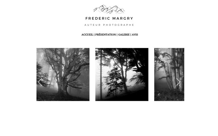 Screenshot of fredericmargry.fr