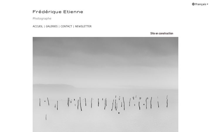 Screenshot of frederiqueetienne.com