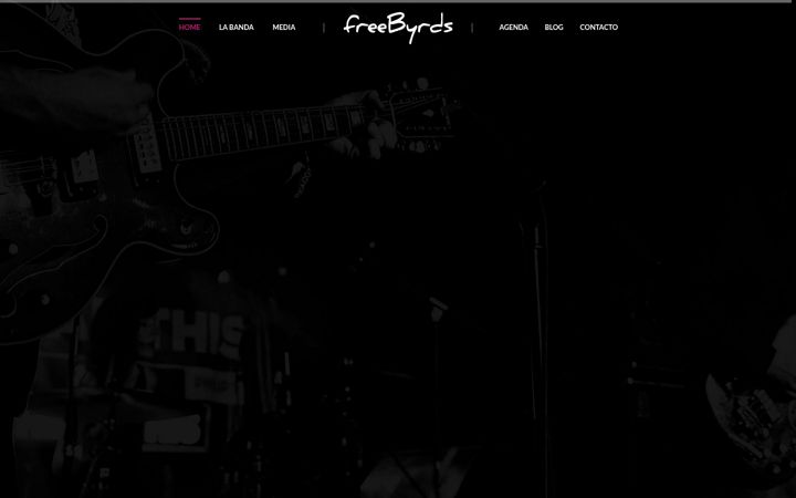 Screenshot stránky freebyrds.es