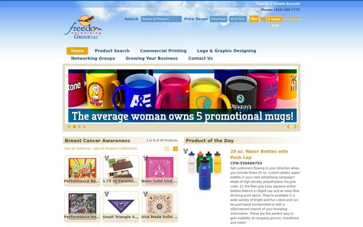 Screenshot of freedomnetworkinggroup.com