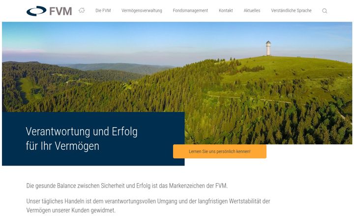 Screenshot of freiburger-vm.de