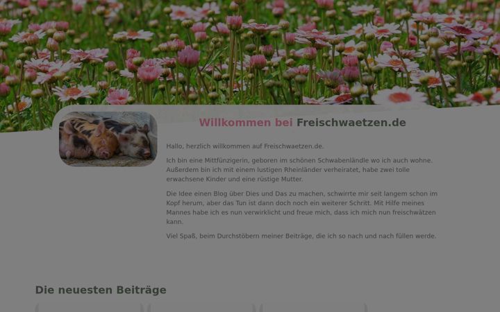 Posnetek zaslona freischwaetzen.de