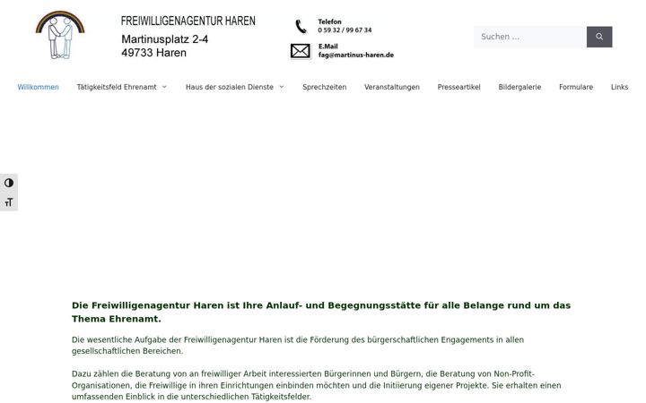 Posnetek zaslona freiwilligenagentur-haren.de