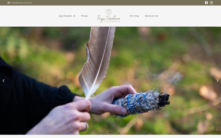 Screenshot of frejarosalina.dk