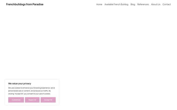 Screenshot of frenchbulldogs-fromparadise.com