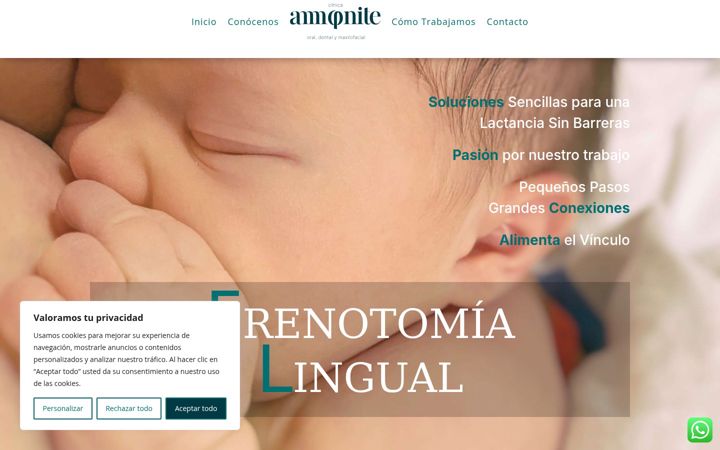Screenshot of frenillolingualmadrid.com