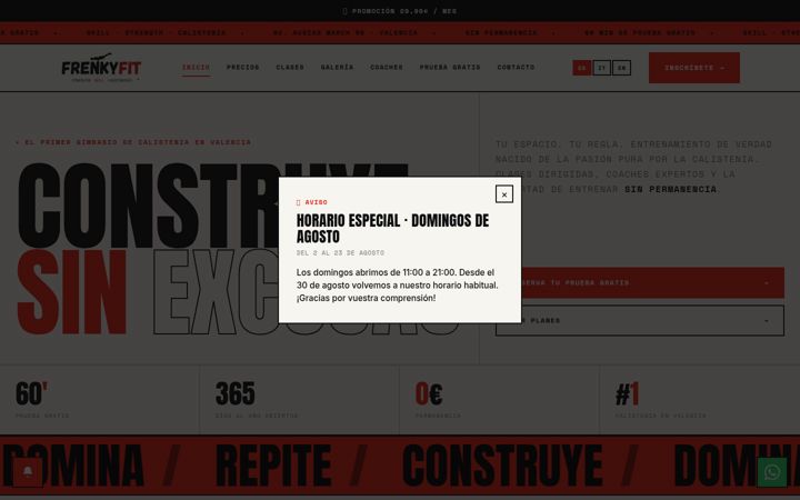 Screenshot of frenkyfit.es