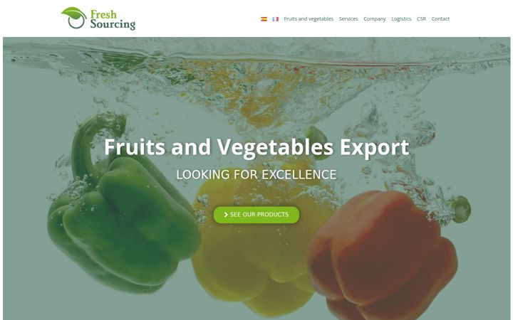 Screenshot of freshsourcing.es