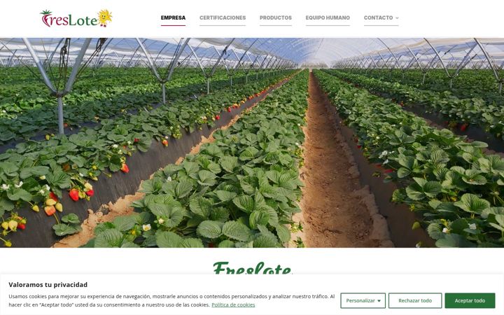 Screenshot of freslote.com