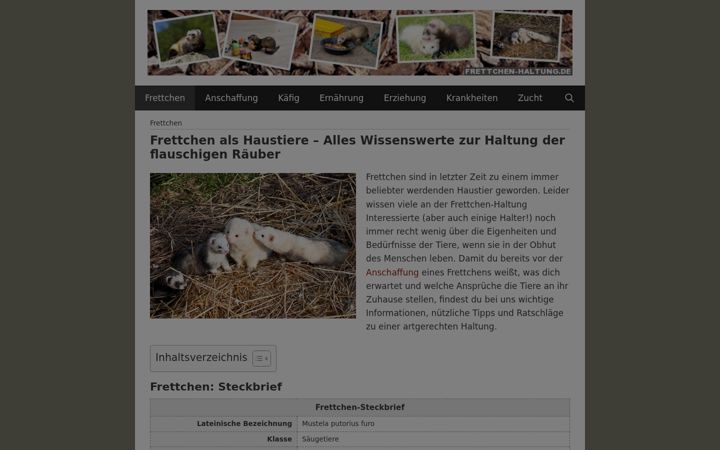 Screenshot of frettchen-haltung.de