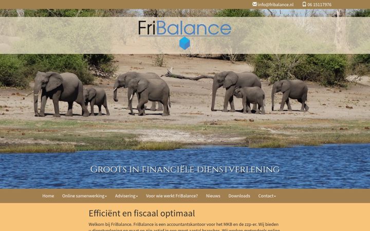 Screenshot of fribalance.nl
