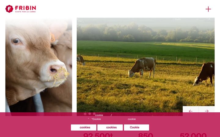 Screenshot of fribin.cn