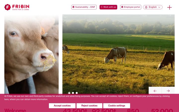 Screenshot of fribin.com