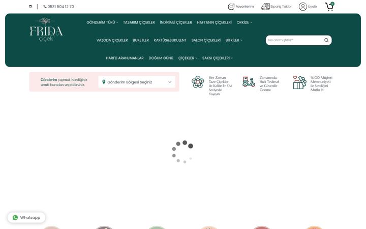 Screenshot of fridacicek.com