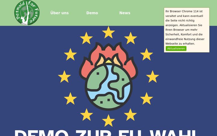 Screenshot of fridaysforfuturedetmold.org