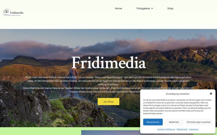 Screenshot of fridimedia.de