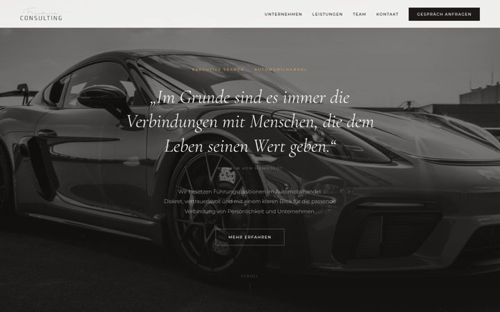 Screenshot of friedrich-consulting.com
