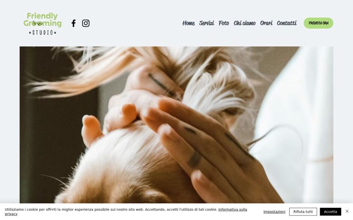 Screenshot of friendlygroomingstudio.com