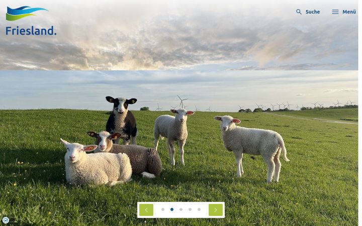 Screenshot of friesland-touristik.de
