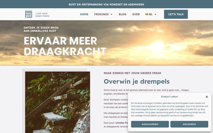 Screenshot of frikunik.com