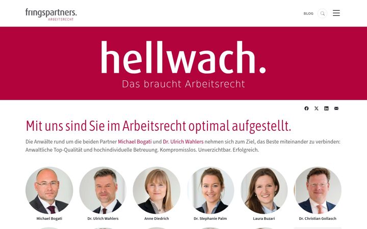 Screenshot of fringspartners.de