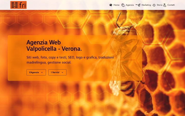 Screenshot of frisas.com