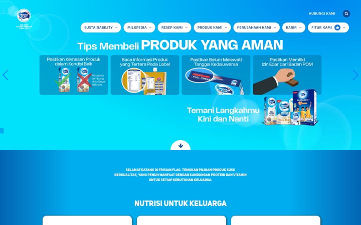 Screenshot of frisianflag.com