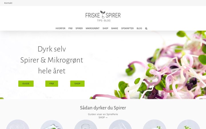 Screenshot of friskespirer.dk