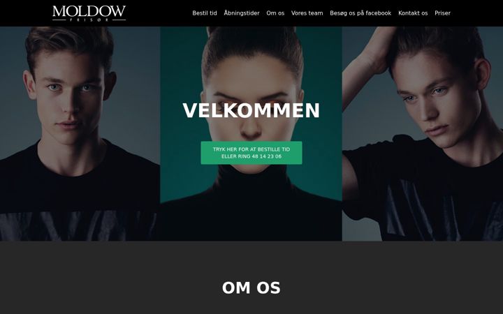 Screenshot of frisoermoldow.dk