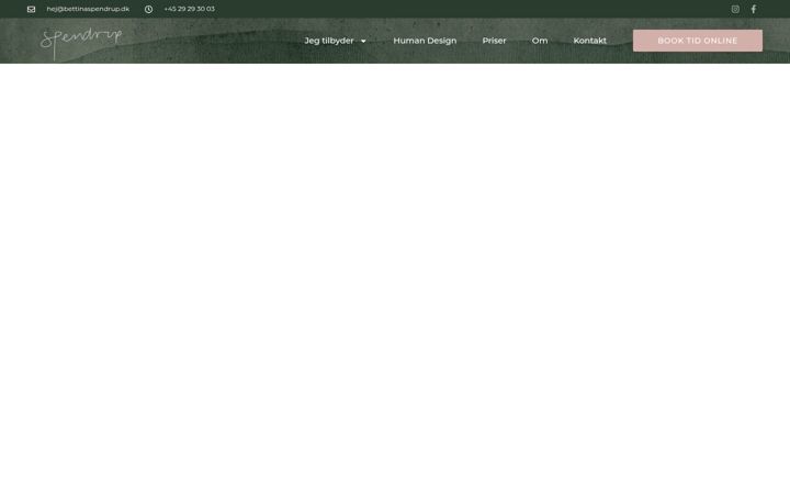 Screenshot of frisorspendrup.dk