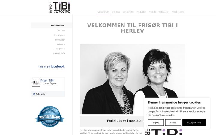 Screenshot of frisortibi.dk