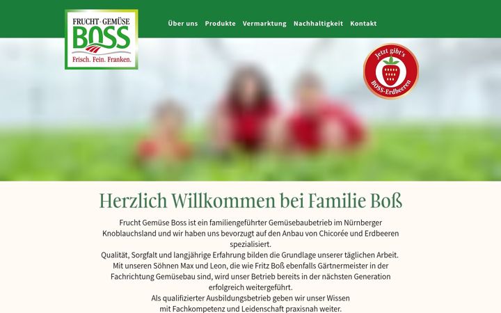 Screenshot of fritz-boss.de