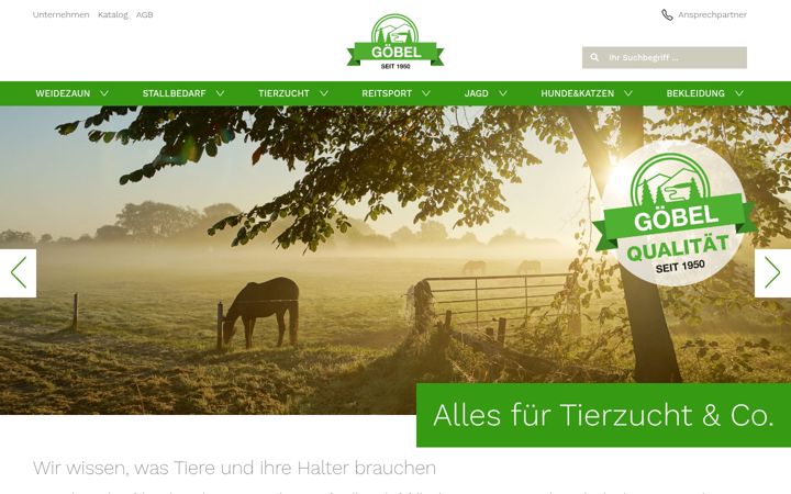 Screenshot of fritzgoebel.de